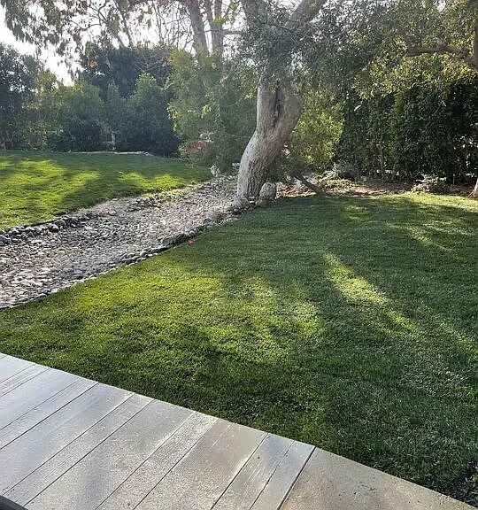30370 Morning View Dr — Photo 11