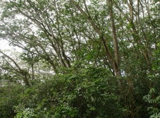 1 Road, Volcano, HI 96785