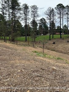 133 Crown Ridge Rd, Alto, NM, 88312
