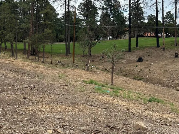 133 Crown Ridge Rd, Alto, NM 88312