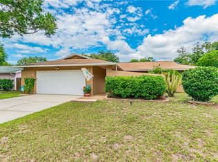 801 Proclamation Dr, Tampa, FL 33613