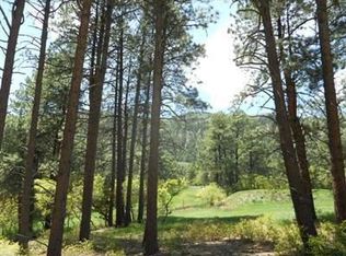 246 Cliffs Edge Dr, Durango, CO 81301