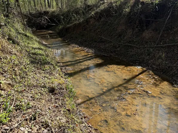 Sheep Ranch Rd, Louisville, MS 39339