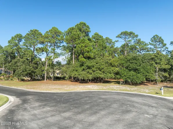 1744 Mute Swan Lane SE, Bolivia, NC 28422