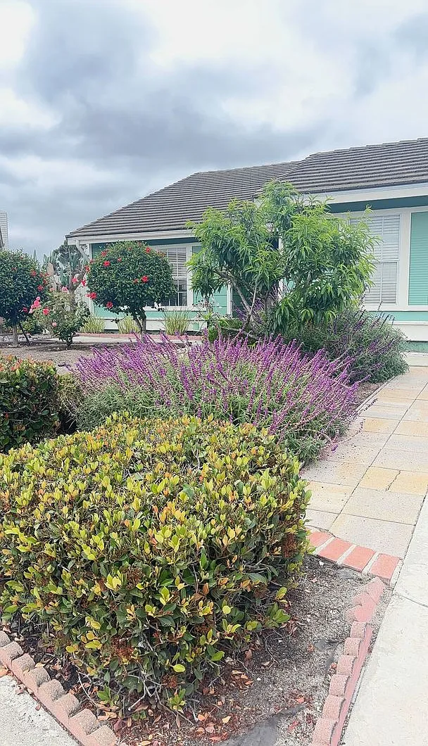 Coming Soon.....Oceanside Cul-de-Sac Charmer — Photo 1
