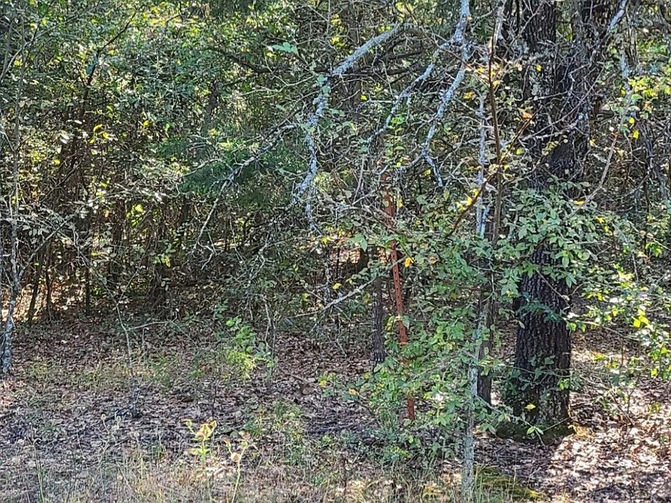 0 County Road 1158, Brashear, TX 75420 MLS 20471166 Zillow