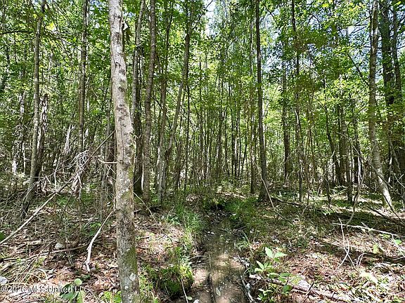 5th image of 0 McNair Springs Rd