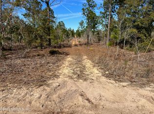 0 Lemon St, Interlachen, FL 32148