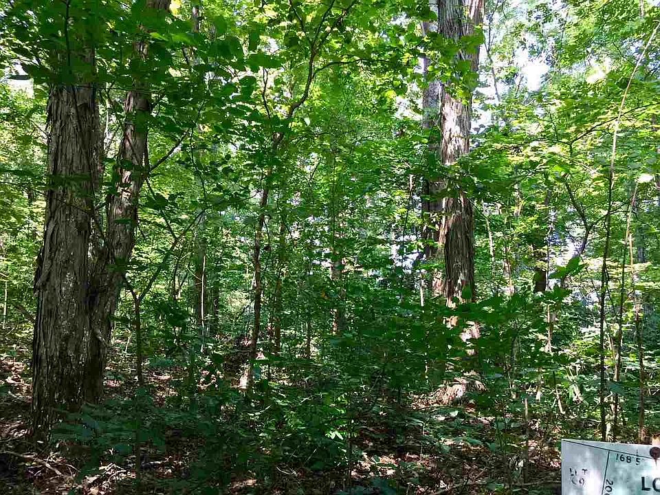 1st image of 0 Polly Mountain Rd Lot 100