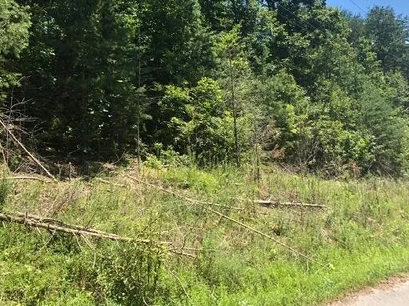 Peanut Ln, Tazewell, TN 37879