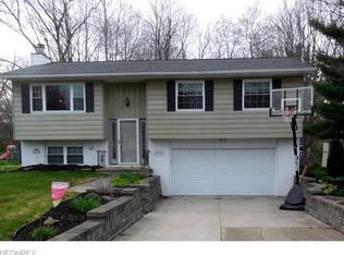 8996 Birchwood Dr, Twinsburg, OH 44087