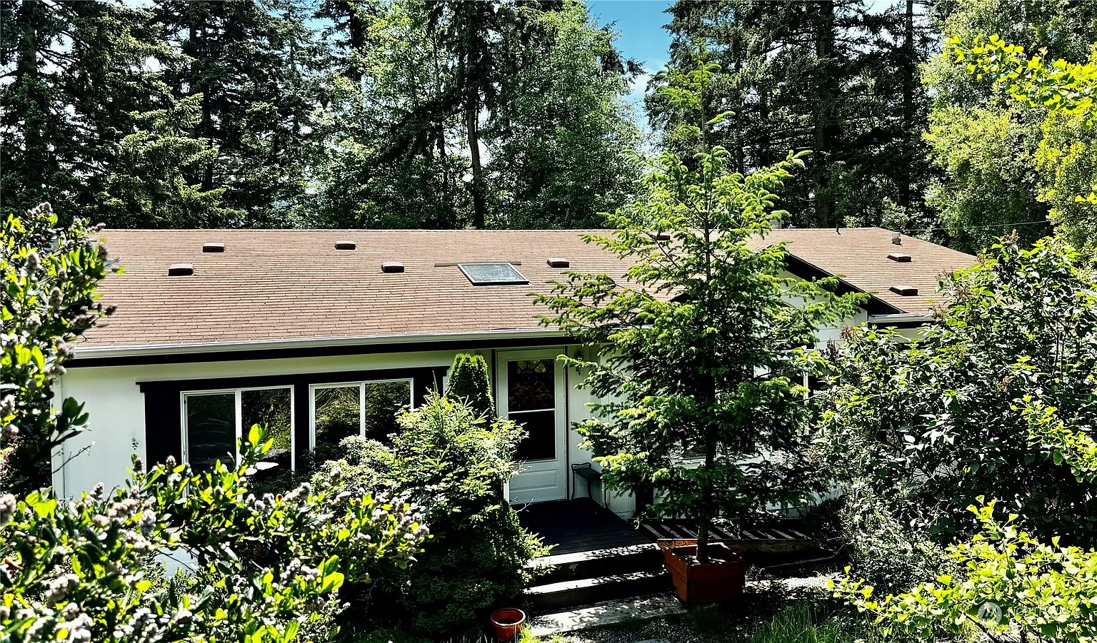 820 Delphinium Drive photo 1