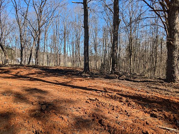 2nd image of 245 Shady Ln