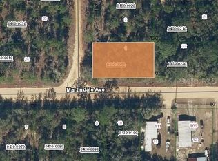 1 Martindale Ave, Interlachen, FL 32148