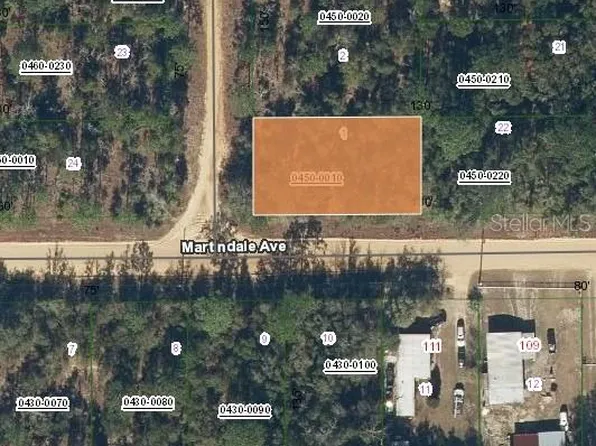 1 Martindale Ave, Interlachen, FL 32148