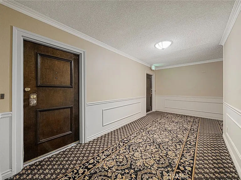 420 S Madison Ave #205 — Photo 24