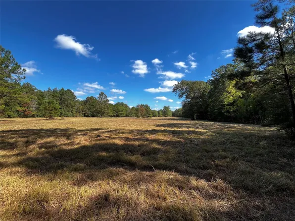 0 County Road 2314, Dayton, TX 77535
