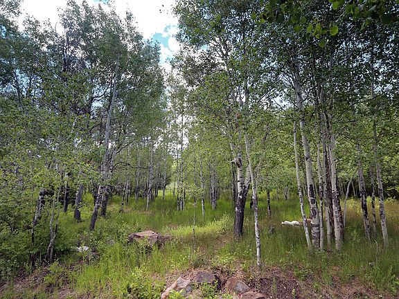 5th image of 700 Aspen Bluff Ln