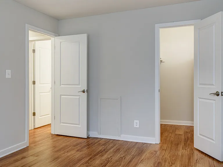 Bedroom with walk-in closet