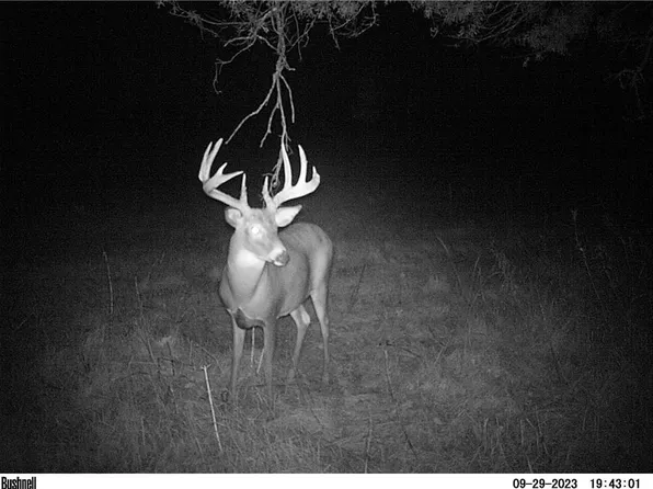 0 Clam Falls Drive, Frederic, WI 54837