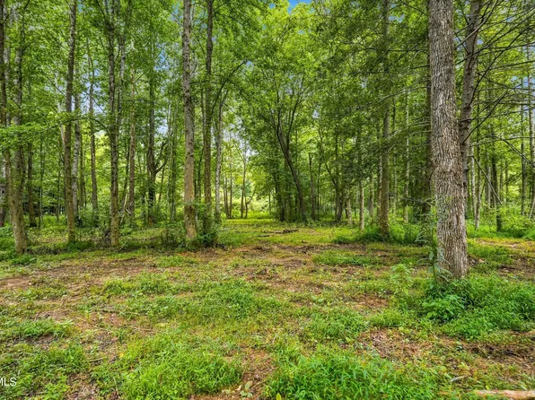 Tbd McInturff Springs Rd, Erwin, TN 37650