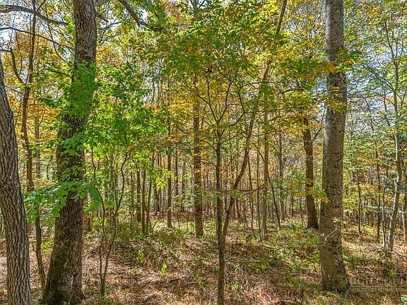 5th image of Lot 4 Goshen Drive