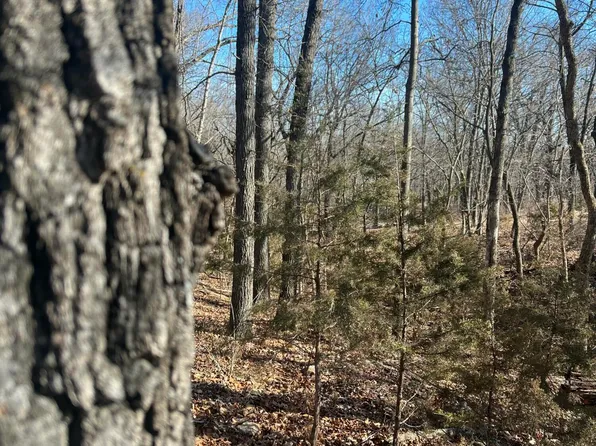 000 E Highway 215, Stockton, MO 65785