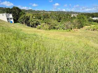 Bo Robles Carr 447 Km #4-HM 6, San Sebastian, PR 00685