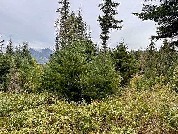 3rd image of 780 Tunnel Rd