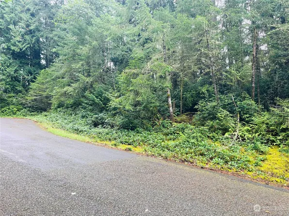 12508 &12512 95th Street Ct, Anderson Island, WA 98303