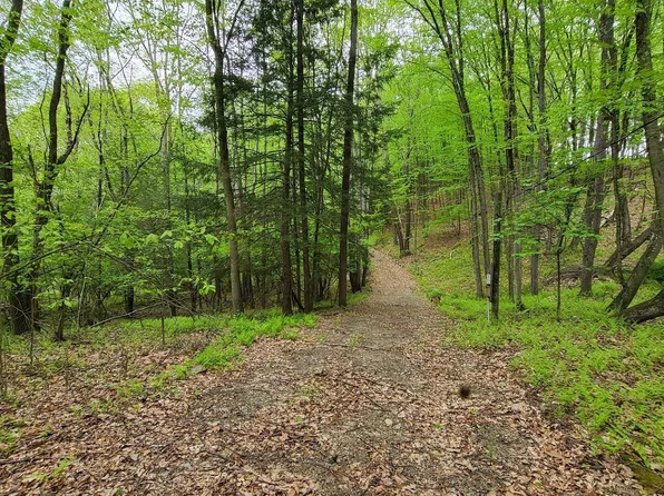 Evans Rd, Benton, PA 17814