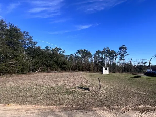 7774 Roy Hodges Rd, Donalsonville, GA 39845