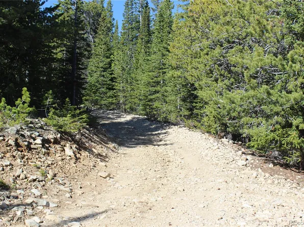 99 FS 411.1 LOT 99,19211,15244, Black Hawk, CO 80422