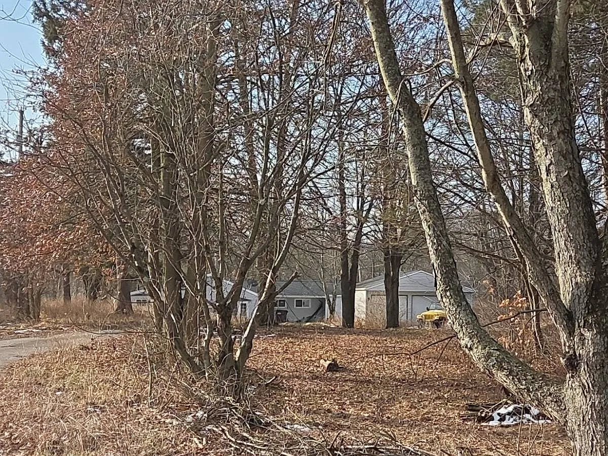 39431 Butternut Ridge Rd photo 1
