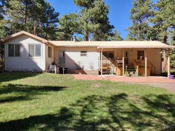 8129 Birch Dr, Rye, CO 81069