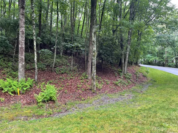 Middle Connestee Trl #129/7, Brevard, NC 28712