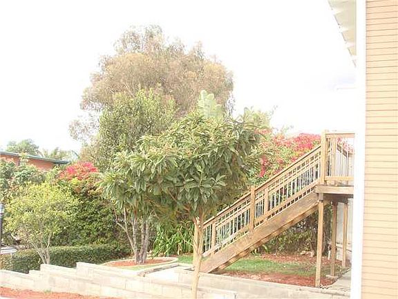 Lush yard complete with your own loquats!