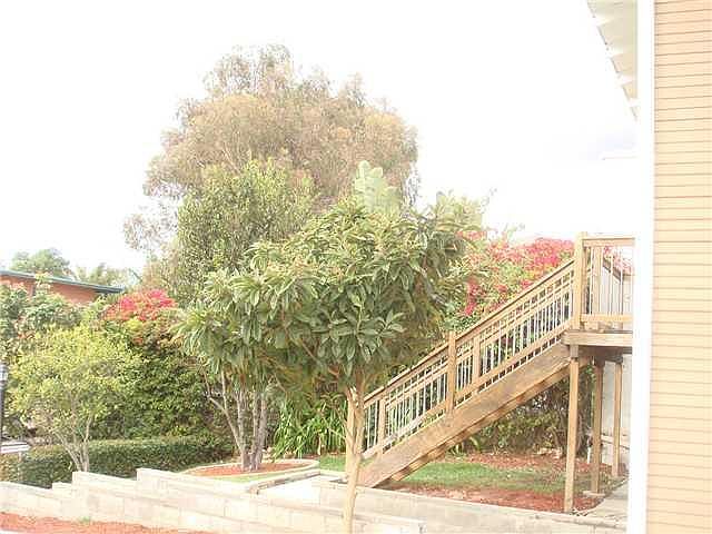 Lush yard complete with your own loquats!