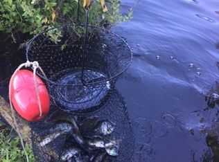 7602 Fair Oaks Rd SE, Olympia, WA 98513