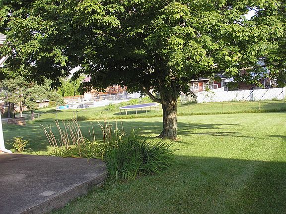Back Yard View Near Patio