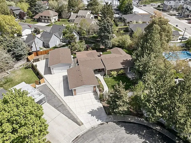 Birdseye