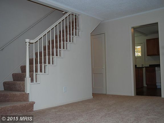 Living Room from the front door with New Carpet