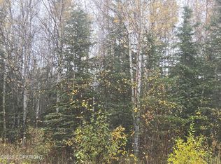 L1 B Brenden Blvd #1, Copper Center, AK 99573