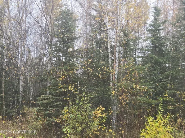 L1 B Brenden Blvd #1, Copper Center, AK 99573