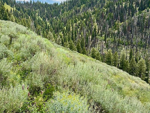 2nd image of 1 National Forest Rd #227