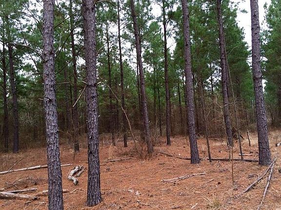 2nd image of 4031 County Road 3707