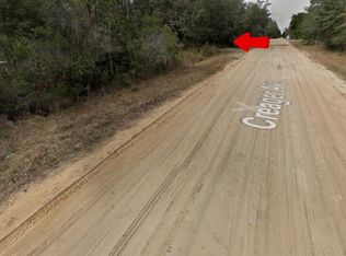 8 Creager Ave, Interlachen, FL 32148