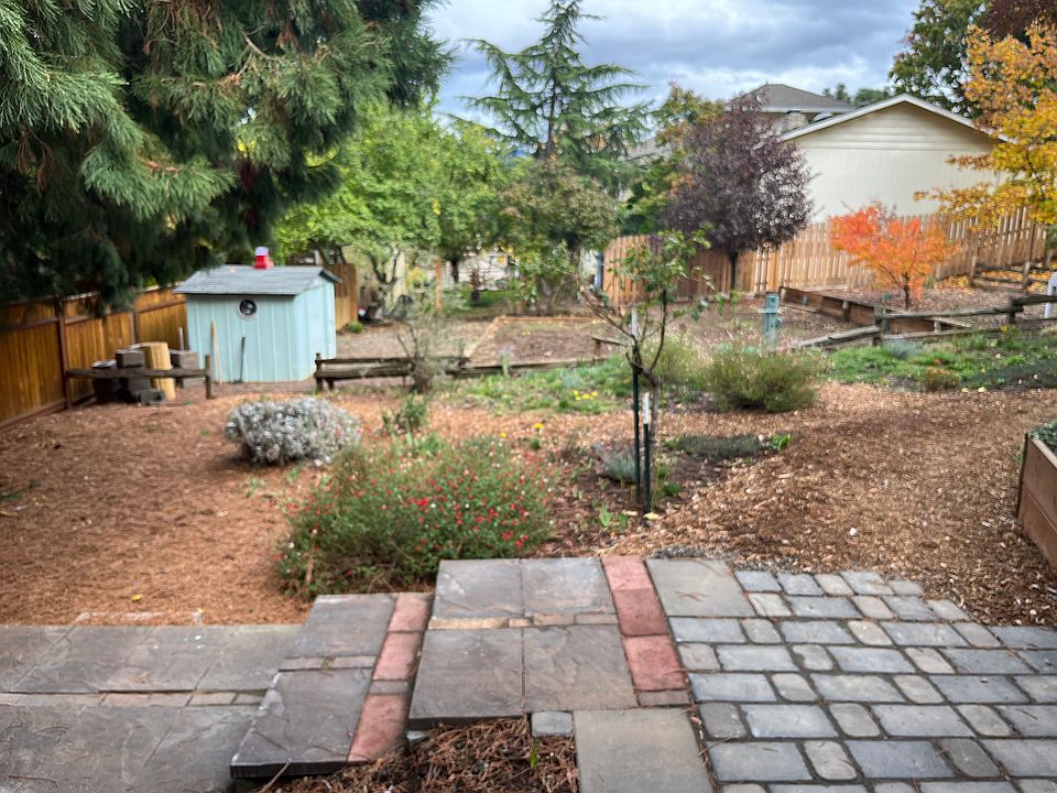 View from deck