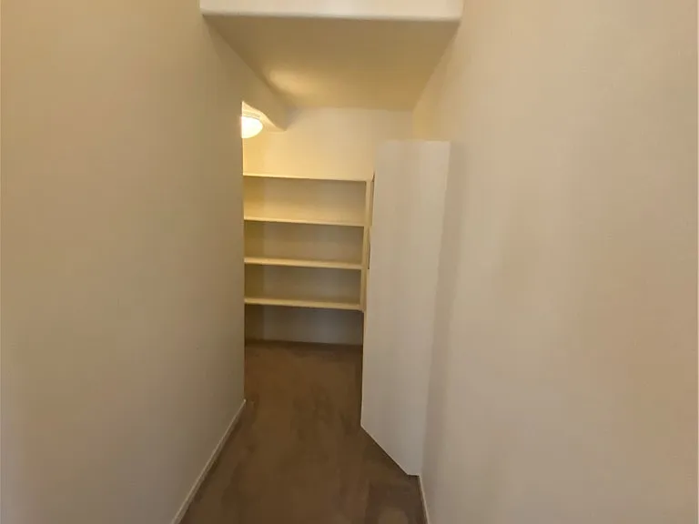 436 Cadence View Way — Photo 28