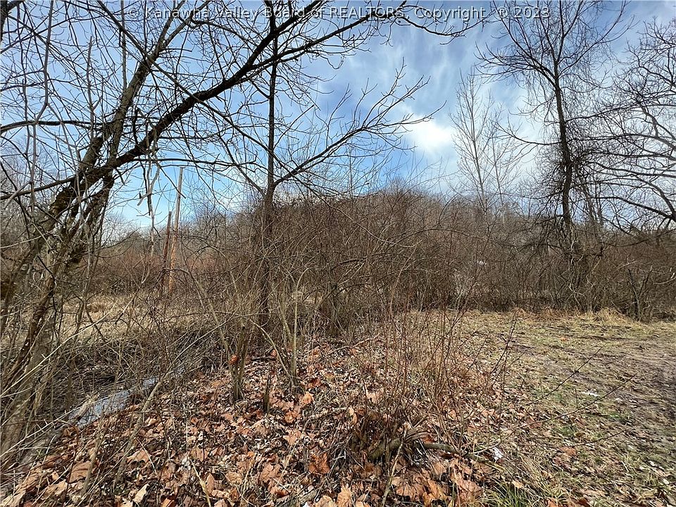 Coleman Creek Rd, Fraziers Bottom, WV 25082 Zillow